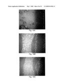 NANOFILM AND MEMBRANE COMPOSITIONS diagram and image