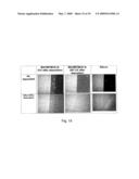 NANOFILM AND MEMBRANE COMPOSITIONS diagram and image