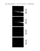 Ion sources, systems and methods diagram and image