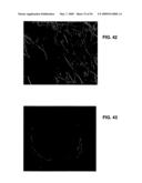 Ion sources, systems and methods diagram and image