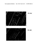 Ion sources, systems and methods diagram and image