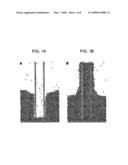 Metal-filled nanostructures diagram and image