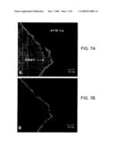 Metal-filled nanostructures diagram and image