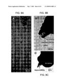 Metal-filled nanostructures diagram and image