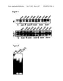 PARVOVIRUS METHODS AND COMPOSITIONS FOR KILLING NEOPLASTIC CELLS diagram and image