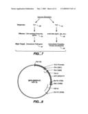 Composition and Method For Enhancing Immune Response diagram and image