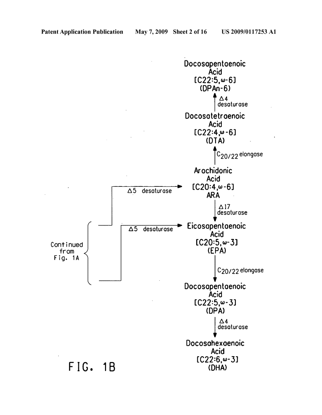 PEROXISOME BIOGENESIS FACTOR PROTEIN (PEX) DISRUPTIONS FOR ALTERING POLYUNSATURATED FATTY ACIDS AND TOTAL LIPID CONTENT IN OLEAGINOUS EUKARYOTIC ORGANISMS - diagram, schematic, and image 03