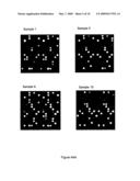 Method for Detection and Quantification of Target Nucleic Acids in a Sample diagram and image