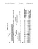 Method for improved specificity in probe based assays diagram and image