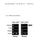 Identification of TRPML3 (MCOLN3) as a Salty Taste Receptor and Use in Assays for Identifying Taste (Salty) Modulators and/or Therapeutics that Modulate Sodium Transport, Absorption or Excretion and/or Aldosterone and/or Vasopressin Production or Release diagram and image