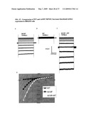 Identification of TRPML3 (MCOLN3) as a Salty Taste Receptor and Use in Assays for Identifying Taste (Salty) Modulators and/or Therapeutics that Modulate Sodium Transport, Absorption or Excretion and/or Aldosterone and/or Vasopressin Production or Release diagram and image