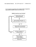 Identification of TRPML3 (MCOLN3) as a Salty Taste Receptor and Use in Assays for Identifying Taste (Salty) Modulators and/or Therapeutics that Modulate Sodium Transport, Absorption or Excretion and/or Aldosterone and/or Vasopressin Production or Release diagram and image