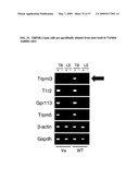 Identification of TRPML3 (MCOLN3) as a Salty Taste Receptor and Use in Assays for Identifying Taste (Salty) Modulators and/or Therapeutics that Modulate Sodium Transport, Absorption or Excretion and/or Aldosterone and/or Vasopressin Production or Release diagram and image