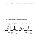 Identification of TRPML3 (MCOLN3) as a Salty Taste Receptor and Use in Assays for Identifying Taste (Salty) Modulators and/or Therapeutics that Modulate Sodium Transport, Absorption or Excretion and/or Aldosterone and/or Vasopressin Production or Release diagram and image