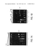 EUBACTERIAL tmRNA SEQUENCES AND USES THEREOF diagram and image