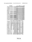 EUBACTERIAL tmRNA SEQUENCES AND USES THEREOF diagram and image