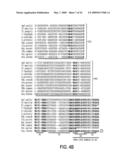 EUBACTERIAL tmRNA SEQUENCES AND USES THEREOF diagram and image