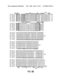 EUBACTERIAL tmRNA SEQUENCES AND USES THEREOF diagram and image