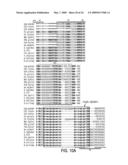 EUBACTERIAL tmRNA SEQUENCES AND USES THEREOF diagram and image