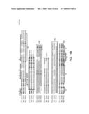 EUBACTERIAL tmRNA SEQUENCES AND USES THEREOF diagram and image