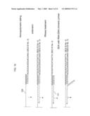 Locus specific amplification using array probes diagram and image