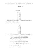 METHODS FOR ANALYZING NUCLEIC ACID diagram and image