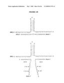 METHODS FOR ANALYZING NUCLEIC ACID diagram and image