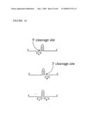 METHODS FOR ANALYZING NUCLEIC ACID diagram and image