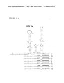 METHODS FOR ANALYZING NUCLEIC ACID diagram and image