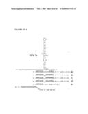 METHODS FOR ANALYZING NUCLEIC ACID diagram and image