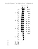 METHODS FOR ANALYZING NUCLEIC ACID diagram and image