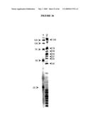 METHODS FOR ANALYZING NUCLEIC ACID diagram and image