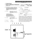 Diagnosis of Allergic Complaints, Atopic Diseases and/or Auto-Immune Diseases by the Identification of Antibodies Against CD28 in Human Serum diagram and image