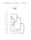 ANTI-FUNGAL SCREENING METHOD diagram and image