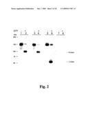 High-Affinity Monoclonal Antibodies for Botulinum Toxin Type A diagram and image