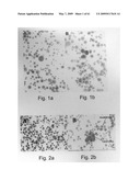 Methods and Compositions for Identifying a Cell Phenotype diagram and image