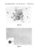 Methods and Compositions for Identifying a Cell Phenotype diagram and image