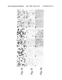 Methods and Compositions for Identifying a Cell Phenotype diagram and image