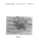 Methods and Compositions for Identifying a Cell Phenotype diagram and image