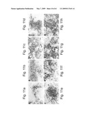 Methods and Compositions for Identifying a Cell Phenotype diagram and image