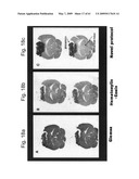 Methods and Compositions for Identifying a Cell Phenotype diagram and image