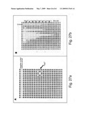 Methods and Compositions for Identifying a Cell Phenotype diagram and image