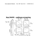 Methods and Compositions for Identifying a Cell Phenotype diagram and image