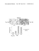 Methods and Compositions for Identifying a Cell Phenotype diagram and image