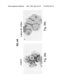 Methods and Compositions for Identifying a Cell Phenotype diagram and image