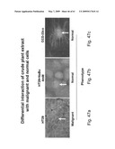 Methods and Compositions for Identifying a Cell Phenotype diagram and image