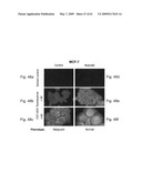 Methods and Compositions for Identifying a Cell Phenotype diagram and image