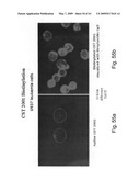 Methods and Compositions for Identifying a Cell Phenotype diagram and image