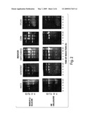 CARBOHYDRASE EXPRESSION DURING DEGRADATION OF WHOLE PLANT MATERIAL BY SACCHAROPHAGUS DEGRADANS diagram and image