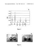 USE OF CXCL6 CHEMOKINE IN THE PREVENTION OR REPAIR OF CARTILAGE DEFECTS diagram and image